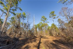 Lightning Ridge Tract 131