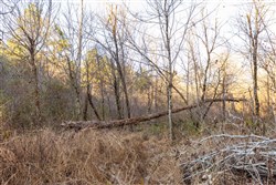 Lightning Ridge Tract 131