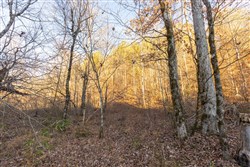 Lightning Ridge Tract 131