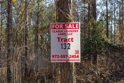 Lightning Ridge Tract 132