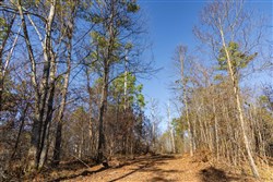 Lightning Ridge Tract 132