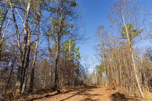 Lightning Ridge Tract 132