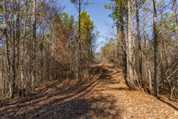 Lightning Ridge Tract 132