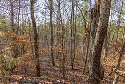 Lightning Ridge Tract 132