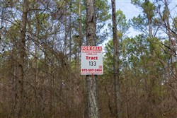 Lightning Ridge Tract 133