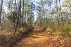 Lightning Ridge Tract 133