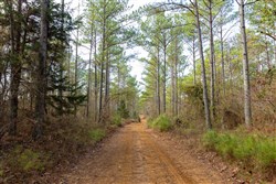 Lightning Ridge Tract 134