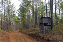 Lightning Ridge Tract 134