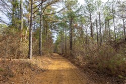 Lightning Ridge Tract 135