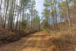 Lightning Ridge Tract 135