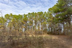 Lightning Ridge Tract 135