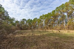 Lightning Ridge Tract 135