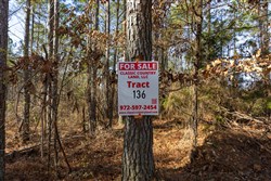 Lightning Ridge Tract 136