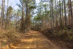 Lightning Ridge Tract 136