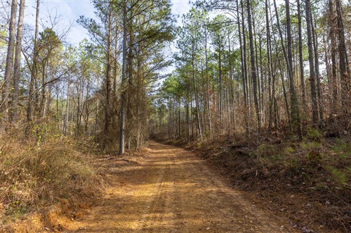 Lightning Ridge Tract 136