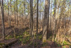 Lightning Ridge Tract 136