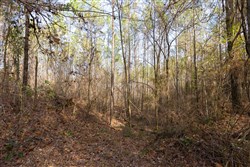 Lightning Ridge Tract 136