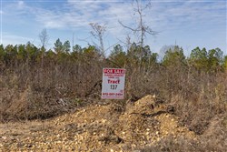 Lightning Ridge Tract 137