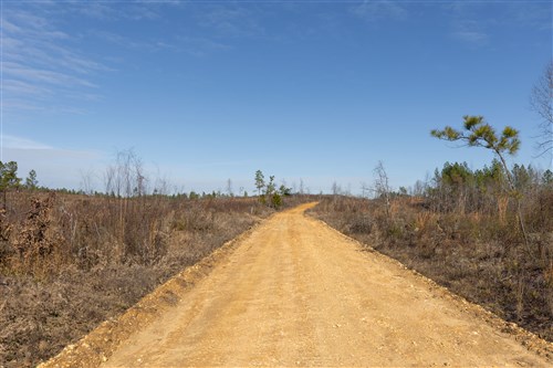 Lightning Ridge Tract 137
