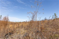 Lightning Ridge Tract 137