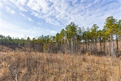 Lightning Ridge Tract 137