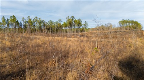 Lightning Ridge Tract 138