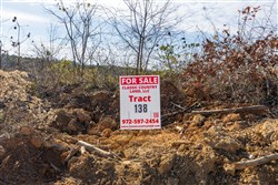 Lightning Ridge Tract 138