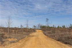 Lightning Ridge Tract 138
