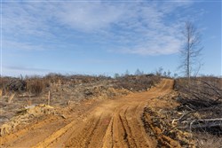 Lightning Ridge Tract 138