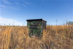 Lightning Ridge Tract 138