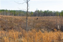 Lightning Ridge Tract 138