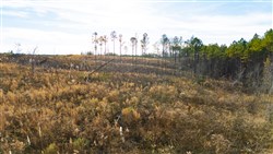 Lightning Ridge Tract 139