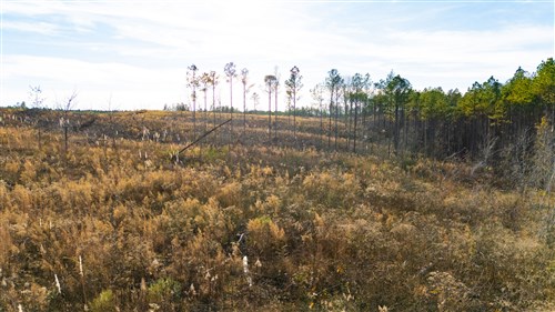 Lightning Ridge Tract 139