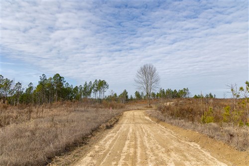 Lightning Ridge Tract 139