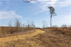 Lightning Ridge Tract 139