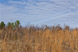 Lightning Ridge Tract 139