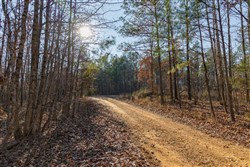 Lightning Ridge Tract 14