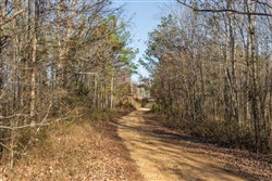 Lightning Ridge Tract 14