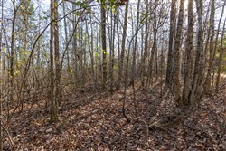 Lightning Ridge Tract 14