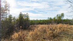 Lightning Ridge Tract 140