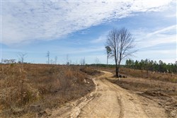 Lightning Ridge Tract 140