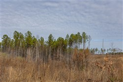 Lightning Ridge Tract 140