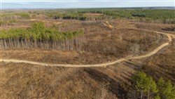 Lightning Ridge Tract 141