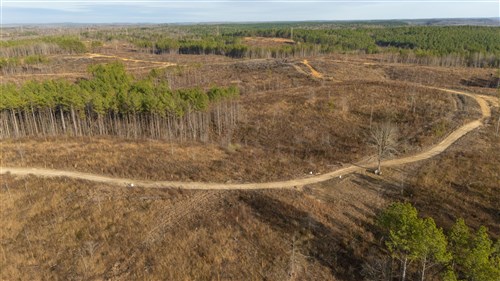 Lightning Ridge Tract 141