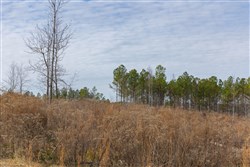 Lightning Ridge Tract 141