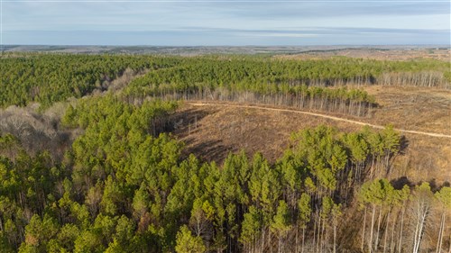 Lightning Ridge Tract 142