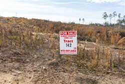 Lightning Ridge Tract 142