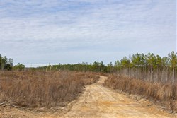 Lightning Ridge Tract 142