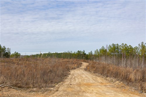 Lightning Ridge Tract 142