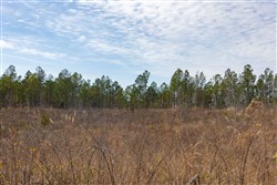 Lightning Ridge Tract 142